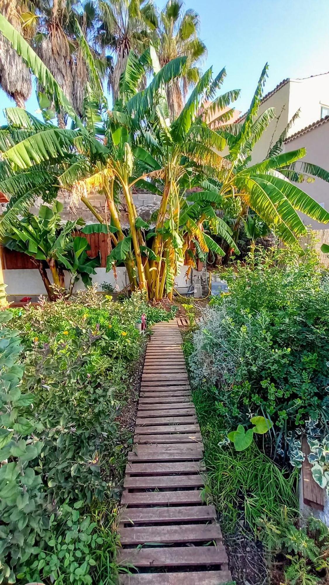 Finca Don Pedro Santa Cruz de Tenerife Luaran gambar